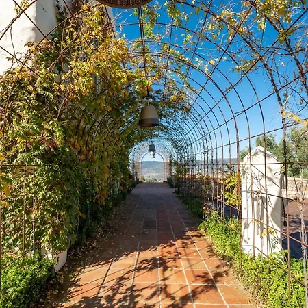 Cortijo LA Organic