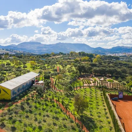 Cortijo LA Organic