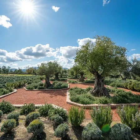 Cortijo La Almazara 론다